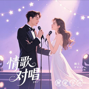 红尘情歌封面