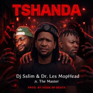 Tshanda (feat. Dr. Les MopHead & The Master)