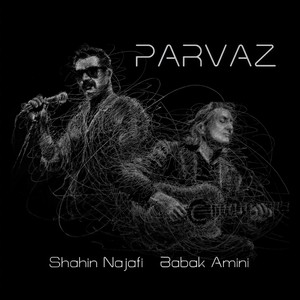 Parvaz(feat. Babak Amini)