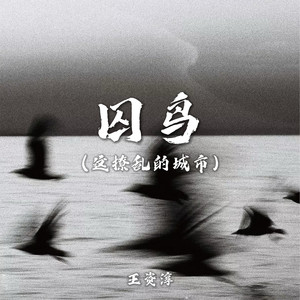 囚鸟 (这撩乱的城市)