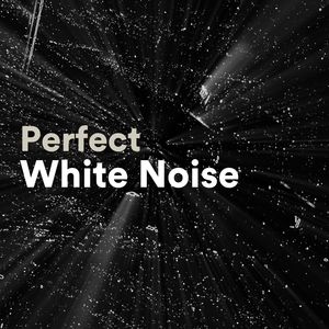 Perfect White Noise