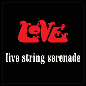 Five String Serenade