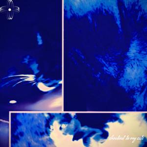 i don't like to go out (feat. LUROMA) (Explicit)