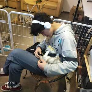 下车仍旧是烟火