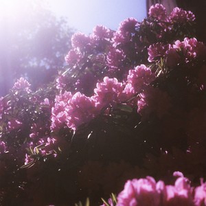 Spring (løift. Remix)