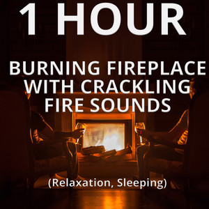 1 Hour Burning Fireplace with Crackling Fire Sounds