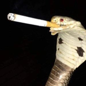 TwizzinK - Cant help Her (Explicit)