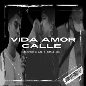 Vida, Amor Y Calle (feat. Khali Dee & Mergold) [Explicit]