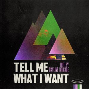 Tell Me What I Want (Explicit)