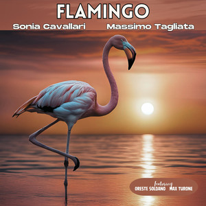 Flamingo (feat. Oreste Soldano & Max Turone)