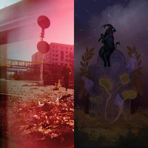 If You Have To Ask (feat. Wane) (Explicit)