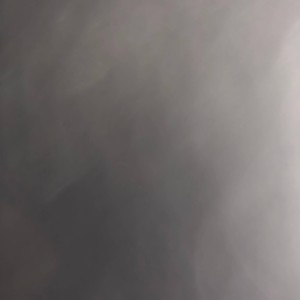 Beauty In the Roots (feat. Master Green)