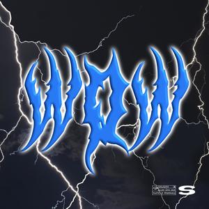 WOW(feat. Shadesgotit)