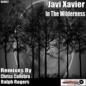 In The Wilderness (Chriss Callebra Remix)