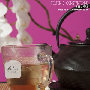 I Feel Fire (Maxim Kurtys Remix)