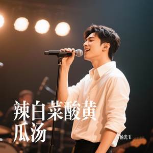 辣白菜酸黄瓜汤