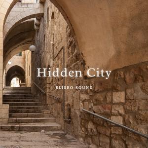 Hidden City