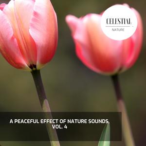 A Peaceful Effect of Nature Sounds, Vol. 4