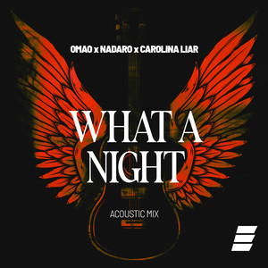 What a Night (Acoustic Mix)
