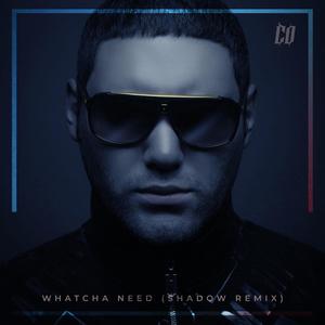 Whatcha Need (SHADOW Remix|Explicit)
