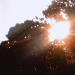 sunrays