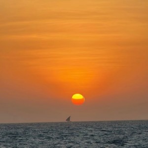 心愿便利贴-左小龙