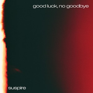 Good Luck, No Goodbye