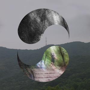 Snow That Shapes a Dream