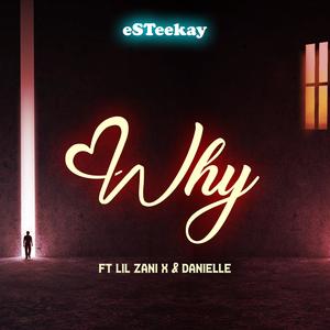 WHY (feat. Lil Zani X & Danielle)