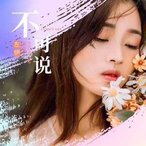 不可说 (伴奏)