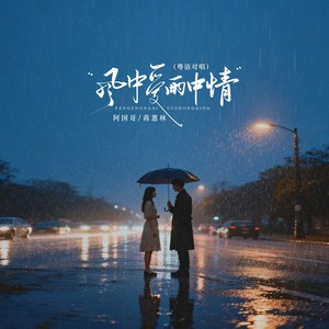 风中爱雨中情