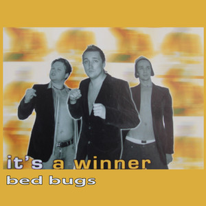 Bed Bugs