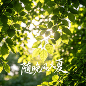 随晚风入夏（知了）