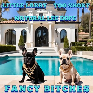 Fancy ******* (feat. Too $hort & Natural Lee Dope) [Explicit]