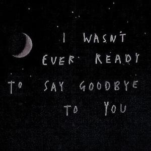 I Wasnt Ever Ready To Say Goodbye To You. (Explicit)