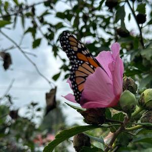 You Good? (Explicit)