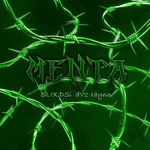 SLIX DSi - Menta