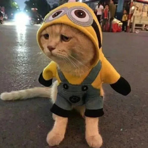 把妹硬货 (DJ环绕版)