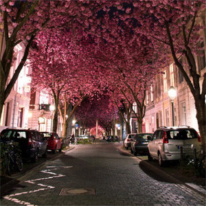 音乐挖掘机 - 最好的已在身边（抖音版）