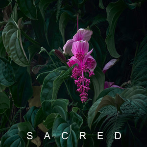 Sacred