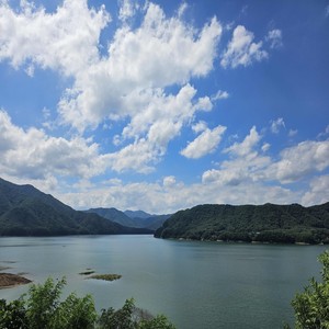 구주 예수 의지함이