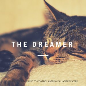 Did You Ever Wonder (Original Mix)