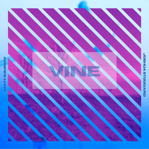 Vine