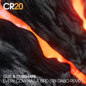 Every Cow Has A Bird (Tibi Dabo Remix)