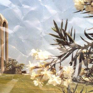 that kindled look in her eyes