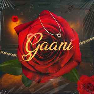 Gaani