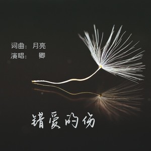 错爱的伤 (男版伴奏)