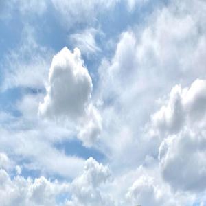 show you the way / r3mix (Explicit)