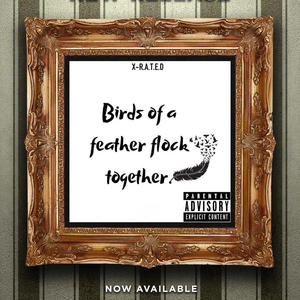 Birds of a feather flock together (feat. Voc Da VisaMan) (Explicit)