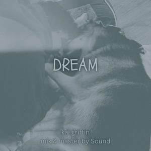 DREAM (Explicit)